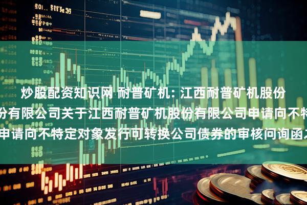 炒股配资知识网 耐普矿机: 江西耐普矿机股份有限公司与国金证券股份有限公司关于江西耐普矿机股份有限公司申请向不特定对象发行可转换公司债券的审核问询函之回复（修订稿）